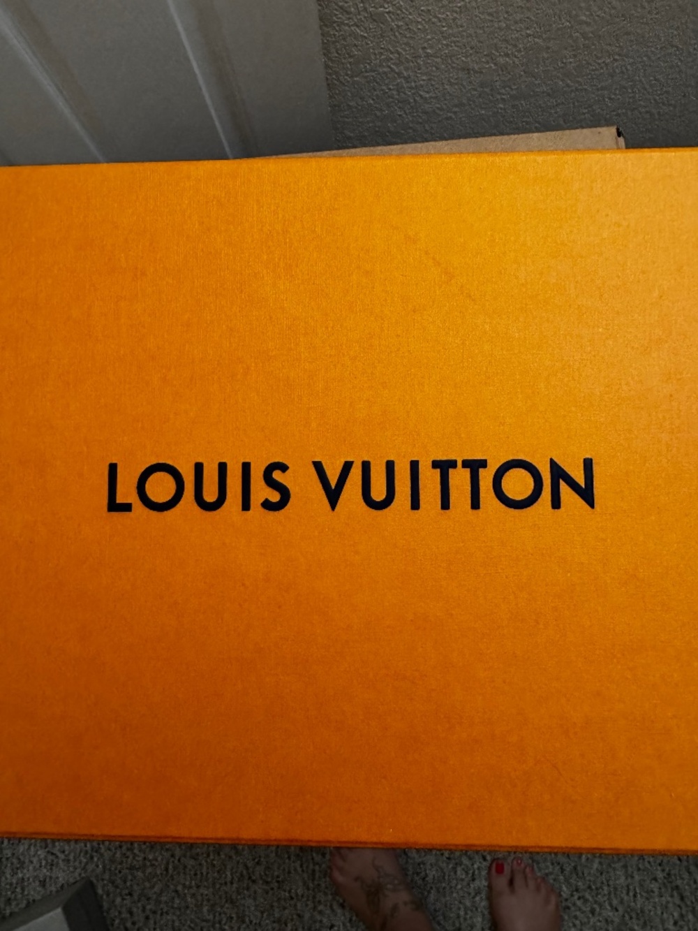 Louis Vuitton High Top Canvas Sneakers